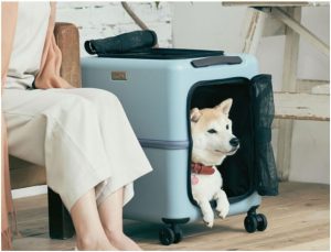 犬用キャリーバッグのおすすめ21選。人気のおしゃれなデザインのモノもラインナップ