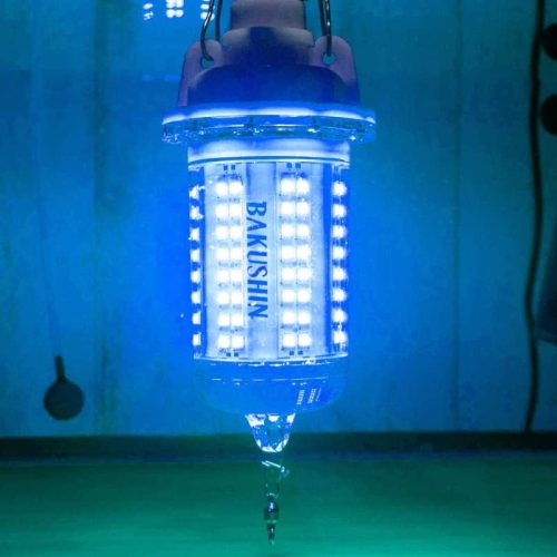 ファンクストレーディング(Funks) BAKUSHIN Pro 爆深