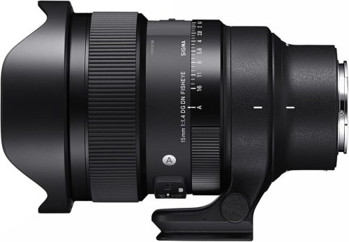 SIGMA 単焦点　魚眼レンズ　一眼レフ　レンズ 61eHtW2ru9L._UF1000,1000_QL80_.jpg
