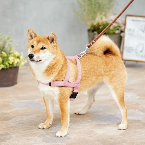 ペピイ(PEPPY) 抜けにくいショルダーハーネス