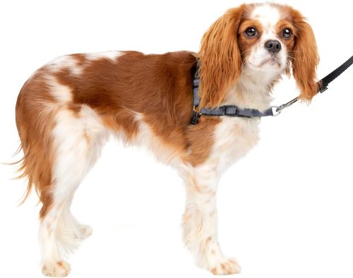 PetSafe 犬用 デラックス イージーウォーク ハーネス