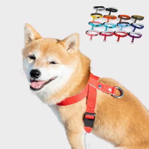 犬の首輪屋てるべる ワンダーフィット ハーネス