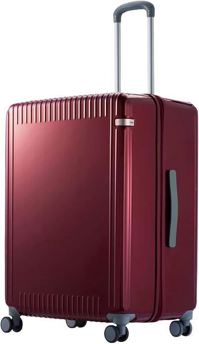 エース(ACE) エースパリセイド 3-Z 06916