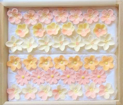 和菓子屋 悠 干菓子 落雁 百花繚乱