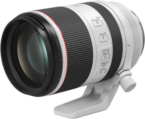 キヤノン(Canon)のカメラレンズおすすめ22選。選び方についても解説
