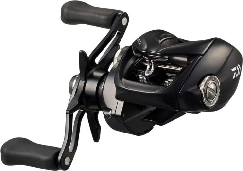 ダイワ(Daiwa) 24 タトゥーラ TW 100H