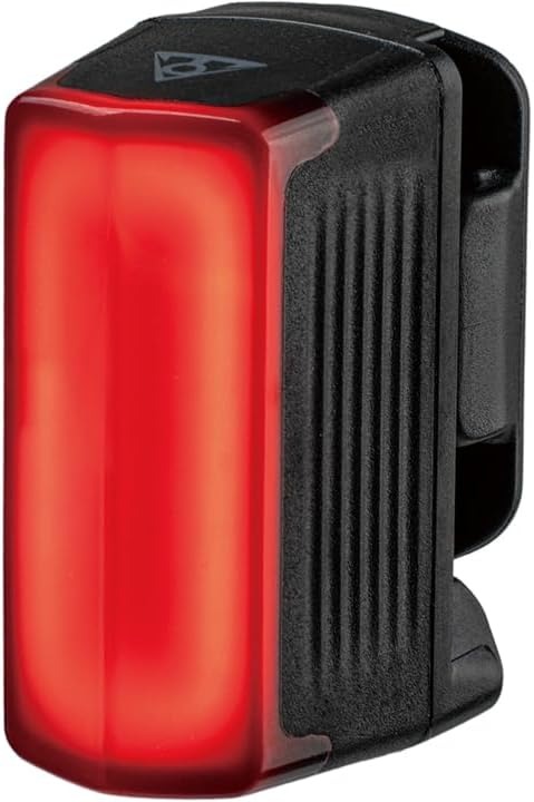 トピーク(TOPEAK) Beseen 30 LPT13500