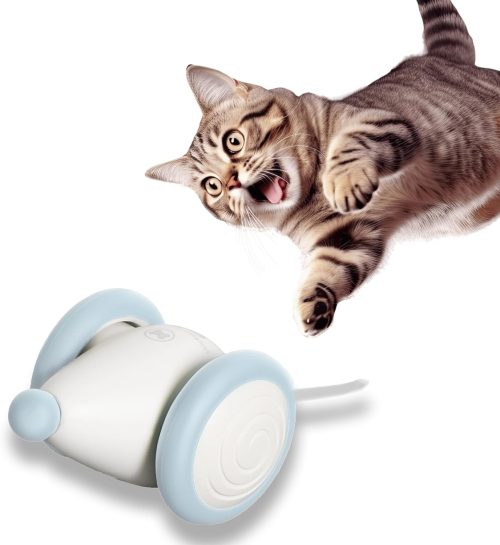 猫楽堂 ウィキッド・マウス・プラス