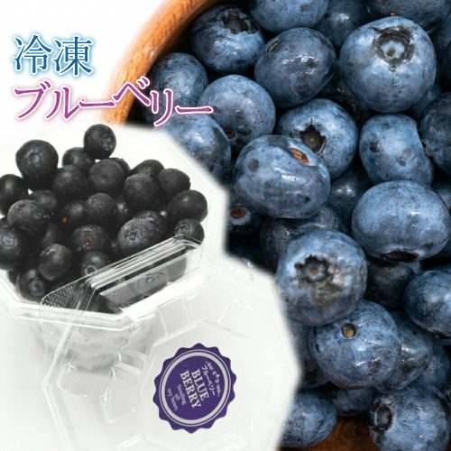 やまがた特産屋 冷凍ブルーベリー カップ詰め