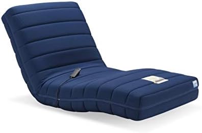 フランスベッド(FranceBed) 電動リクライニング RP-2000BAE