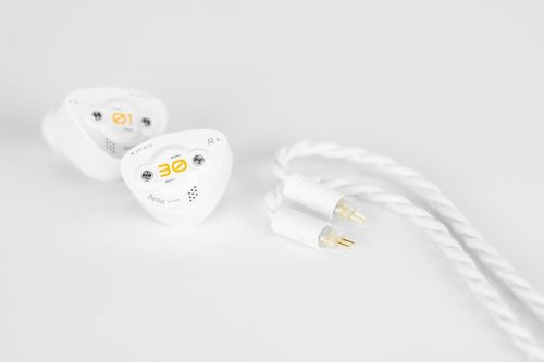 DUNU-TOPSOUND DUNU DK3001 BD