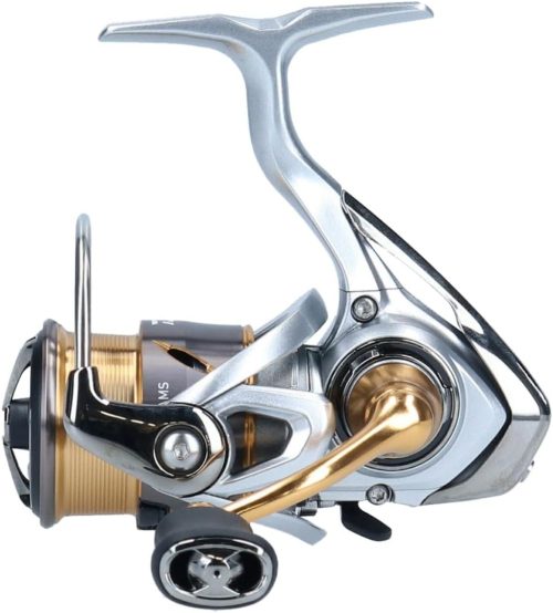 ダイワ(Daiwa) 21 フリームス FC LT2000S