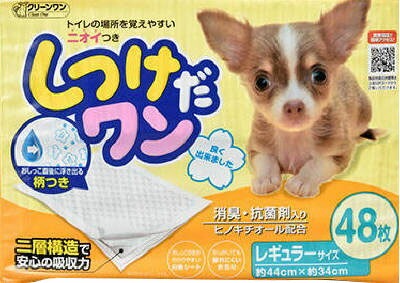 シーズイシハラ クリーンワン しつけだワン レギュラー48枚