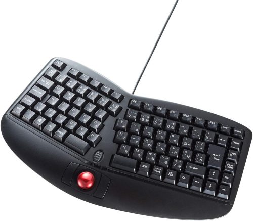 サンワサプライ(SANWA SUPPLY) エルゴノミクスキーボードトラックボール付き SKB-ERG5
