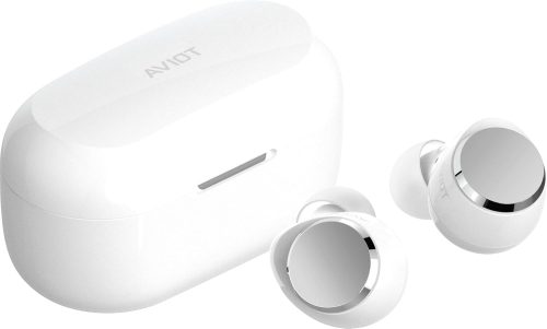 アビオット(AVIOT) 完全ワイヤレスイヤホン TE-V1R
