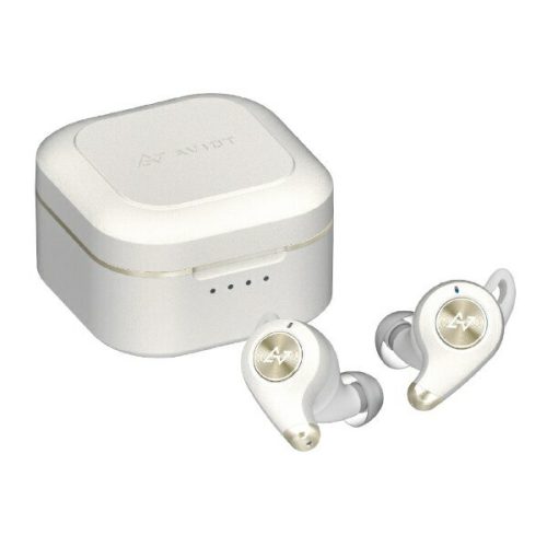 アビオット(AVIOT) 完全ワイヤレスイヤホン TE-D01q2