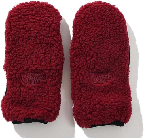 ザ・ノース・フェイス(THE NORTH FACE) リバーシブルエクストリームパイルミット