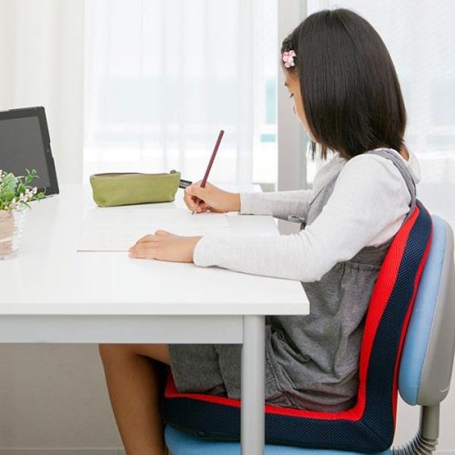 ピーエーエス p!nto キッズ 姿勢サポートクッション