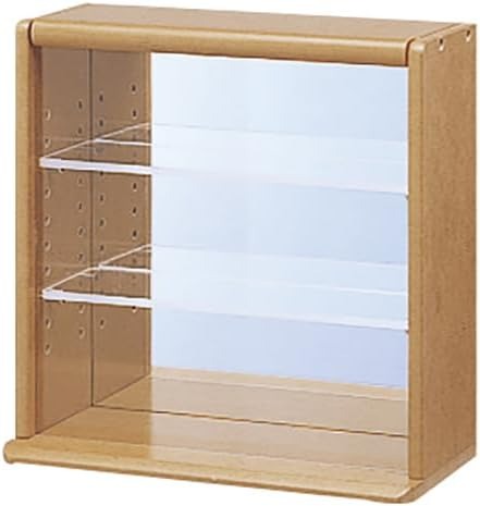 ナカバヤシ(Nakabayashi) コレクションケース ミニ CCM-N001S