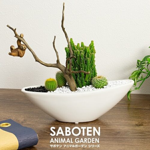 花とインテリア雑貨Fleur Bazar サボテンギフト 流木タイプ 選べる動物フィギュア付 ms06a