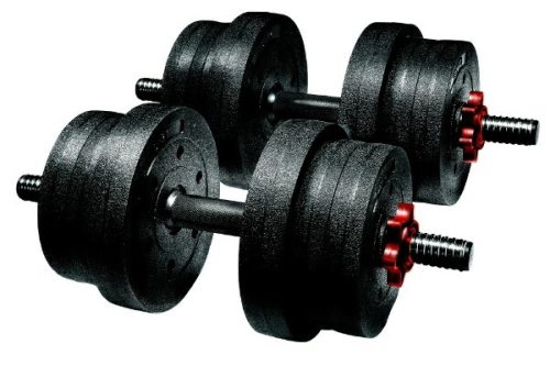 ラ・ヴィ(La-VIE) メガダンベルセット 10kg×2個 3B-3497A