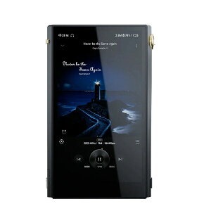 カイン(Cayin) N6iii 