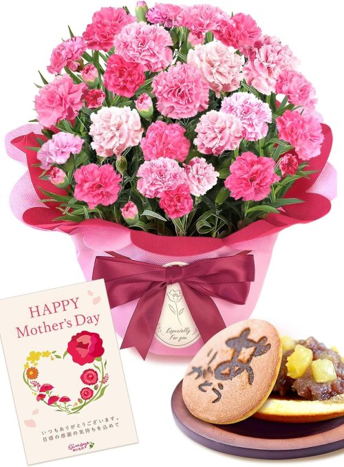 おいもや(OIMOYA) 母の日 カーネーション＆スイーツセット