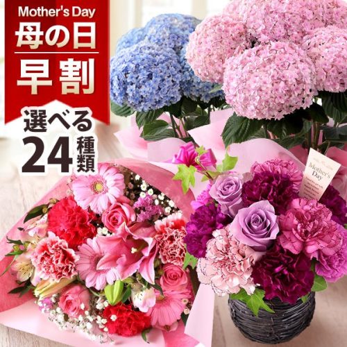 ブンブンビー(BunBun!Bee) 母の日 花 イベントギフトA