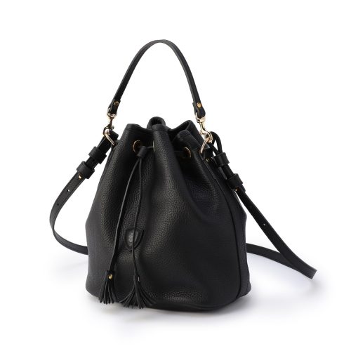 フェリージ(Felisi) 21/17/LD+DS