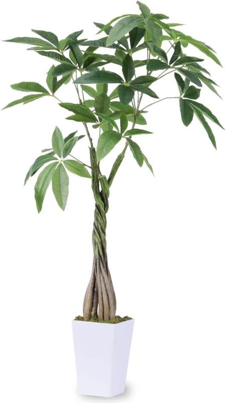 Ruwenus フェイクグリーン パキラ 多幸の木