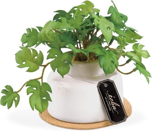 キシマ(Kishima) フェイクグリーン ミニモンステラ KH-61253