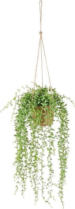 東京堂(Tokyodo) グリーンネックレスハンギング FZ000125