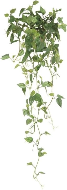 光の楽園 壁掛けフィロ