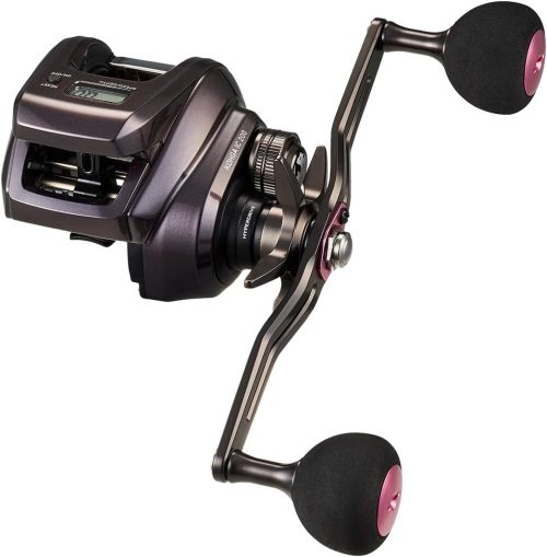 ダイワ(Daiwa) 24 紅牙 IC 200PL