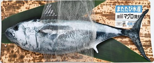 マルカン(MARUKAN) またたび水産マグロ 特大 CT-662