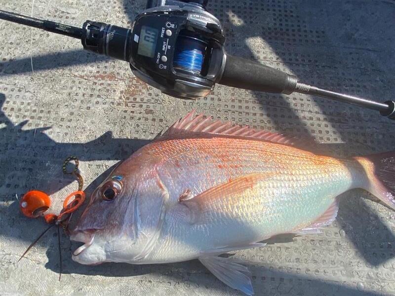 タイラバリールのおすすめ50選。選び方についても詳しく解説