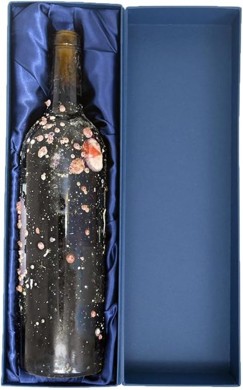 静岡県西伊豆町 海底熟成ワインVOYAGE カサーレ ヴェッキオ モンテプルチャーノ ダブルッツォ 2020