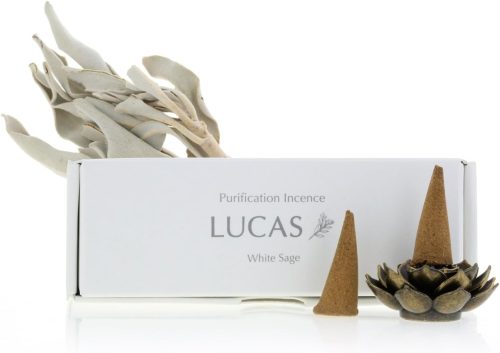 ルカス(LUCAS) ホワイトセージ 浄化香 コーンタイプ 20個入 lucas-incense