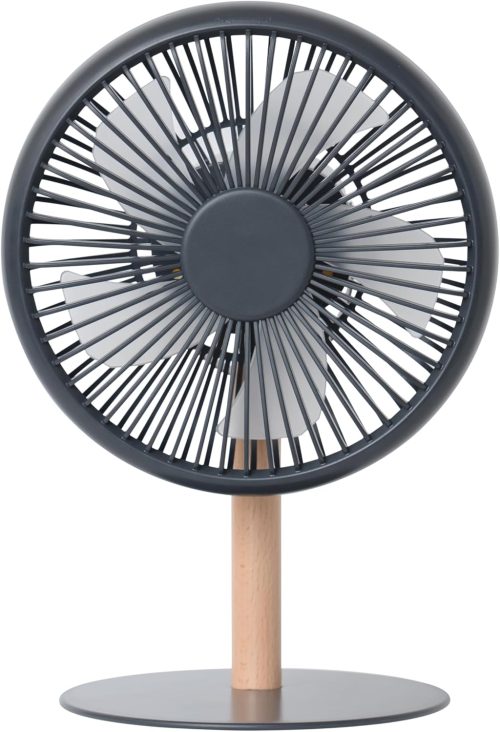 プラスモア(plus more)ミニリビングファン LEDライト付 PBAF003