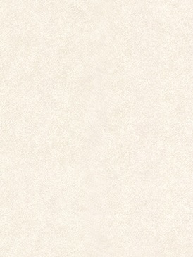 リリカラ(Lilycolor) ダブルクリーン 消臭 汚れ防止 石目調 のり付き壁紙 LL-7867