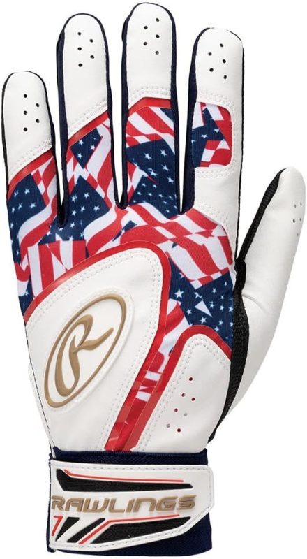 ローリングス(Rawlings) バッティング用手袋 ブリザード 両手用 EBG23S06