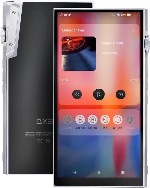 アイバッソオーディオ(iBasso Audio) ハイレゾ対応プレーヤー DX340