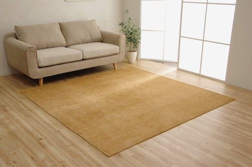 イケヒコ・コーポレーション(IKEHIKO) シェニールラグ モデルノ 4599019