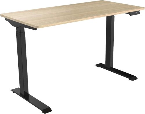 フレキシスポット(Flexispot) 電動昇降式デスク E9