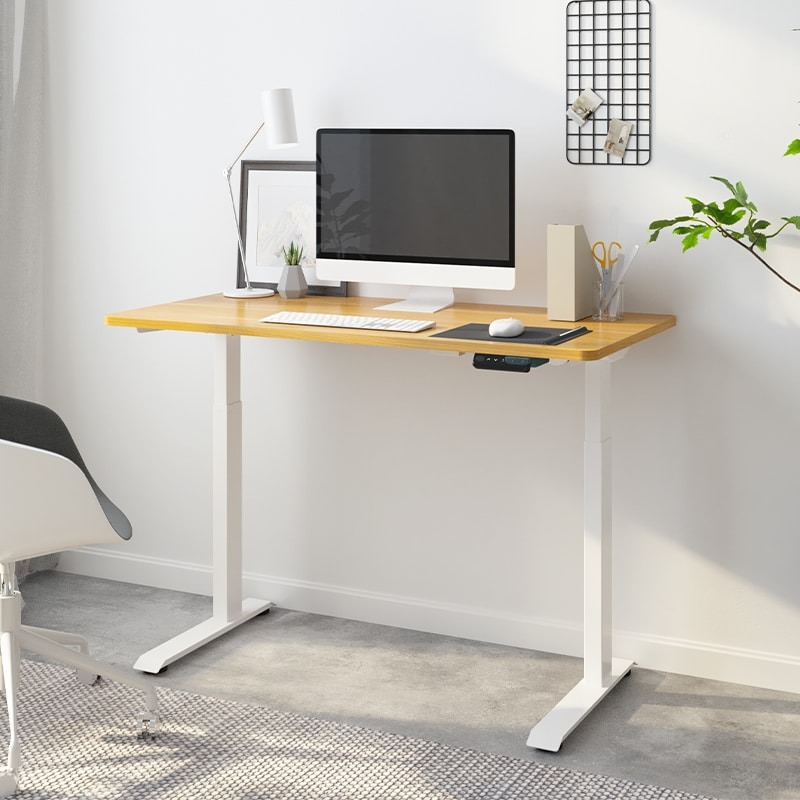 引き取り☆Flexispo 電動昇降式デスクホワイト100×60 電動昇降デスク 白 flexispot