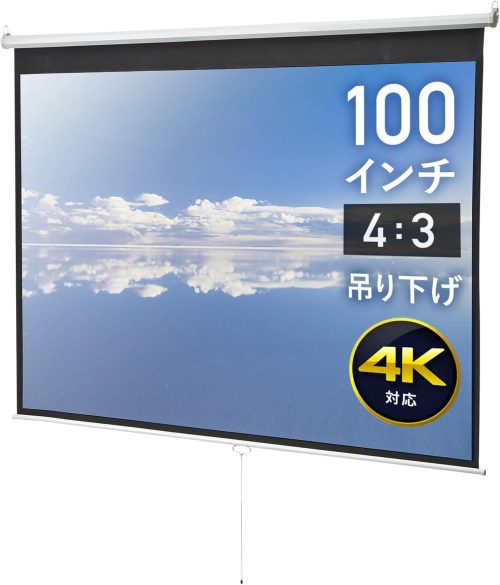 イーサプライ プロジェクタースクリーン EEX-PST1-100