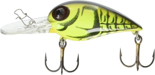 ストーム(STORM) ウイグルワート