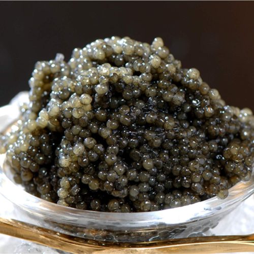 ストゥーリア(STURIA) フレッシュキャビア オシェトラ