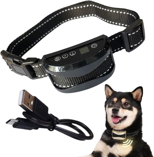 Amazonで見る楽天市場で見る