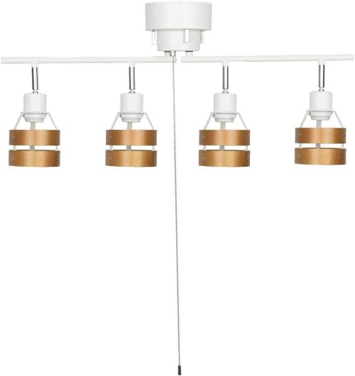 共同照明 4灯シーリングライト GT-DJ-2D